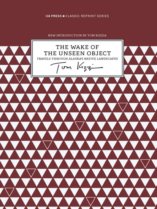 Cover image for The Wake of the Unseen Object